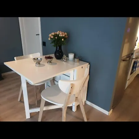 Daire Close To Dnb Arena For Rent During Ons2024 Stavanger